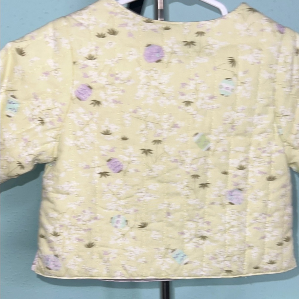 Gymboree Pastel Green Kids Jacket - Picture 8 of 10